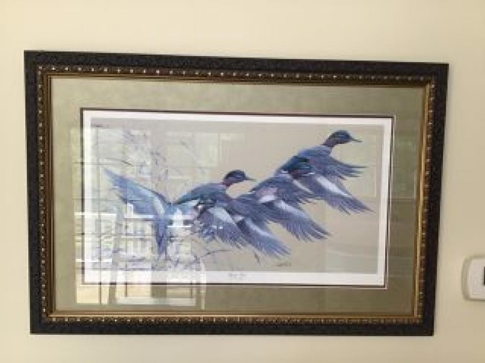 Image for The Sukle Collection of Marion, VA