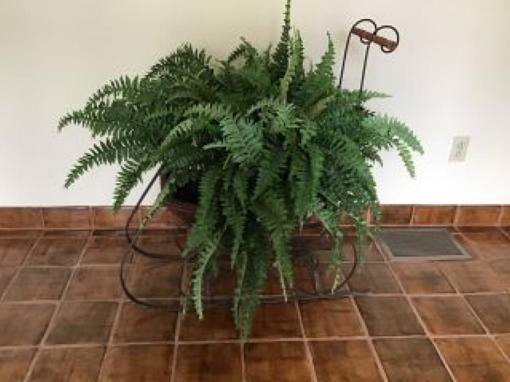 Image for The Sukle Collection of Marion, VA