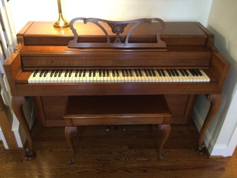 Image for The Mary Zelenik Collection