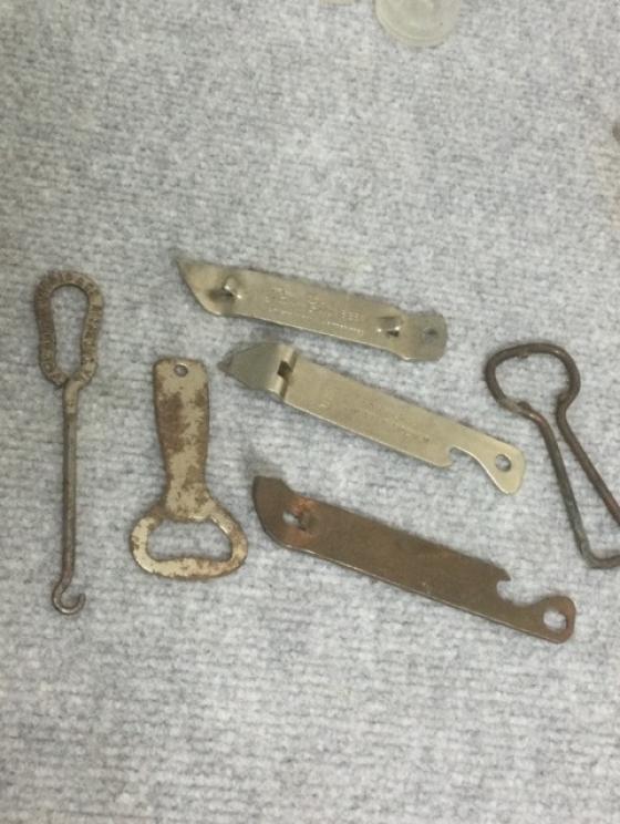 Image for Lifetime Lively Family Collection