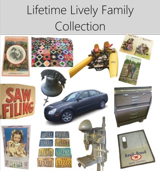 Image for Lifetime Lively Family Collection