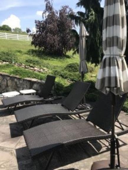 Image for Massive Kosnoski Family Collection