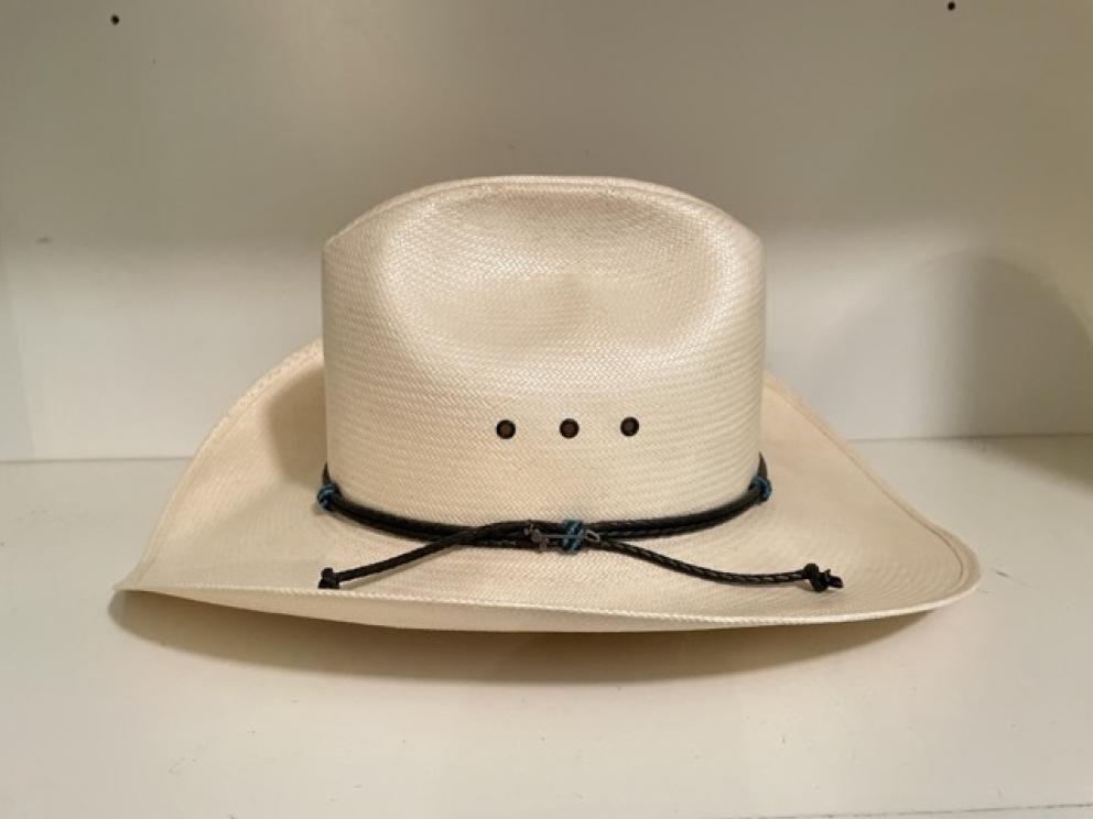 Image for Davies Family Downsizing