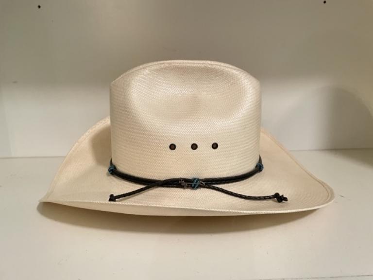 Image for Davies Family Downsizing