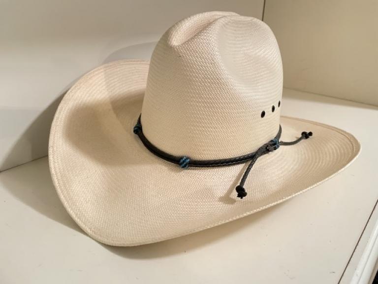 Image for Davies Family Downsizing