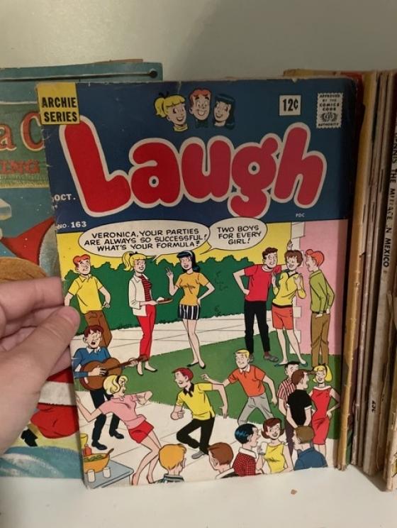 Image for Davies Family Downsizing