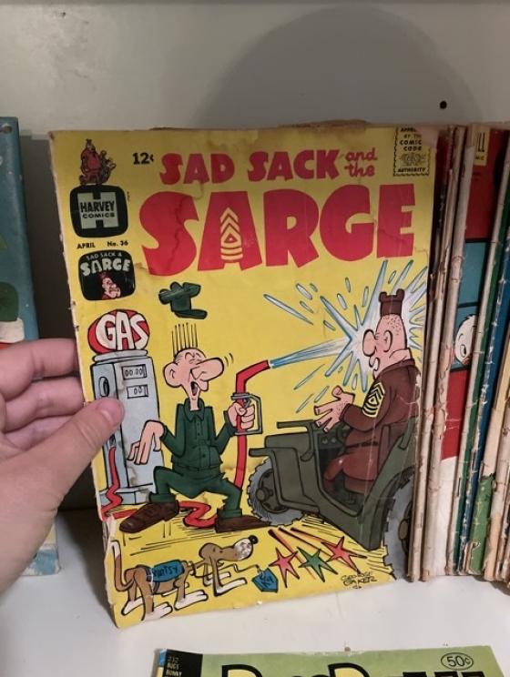 Image for Davies Family Downsizing