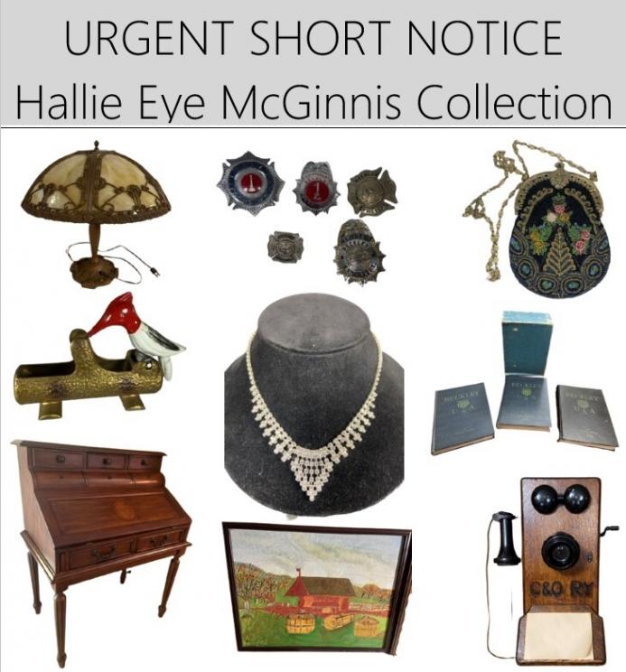 Image for URGENT SHORT NOTICE! - Hallie Eye McGinnis Collection