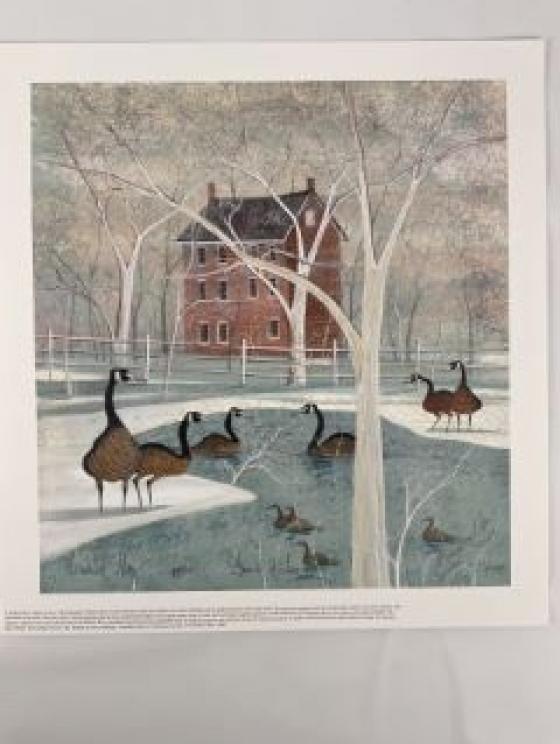 Image for Dual Salem and Roanoke Collections