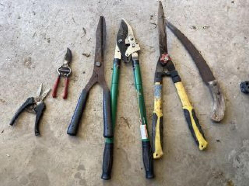 Image for Brown & Lohmeyer Collections of Greenbrier Co.