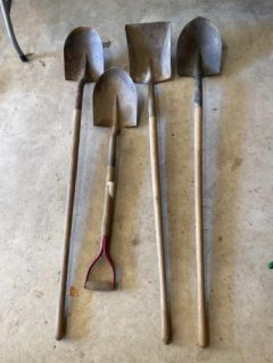 Image for Brown & Lohmeyer Collections of Greenbrier Co.