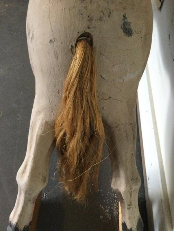 Image for The Mary Wayne Hardwick Collection of Lynchburg, VA