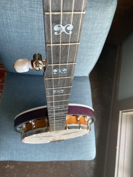 Image for Mumford & Sons Custom Virginia Charity Banjo