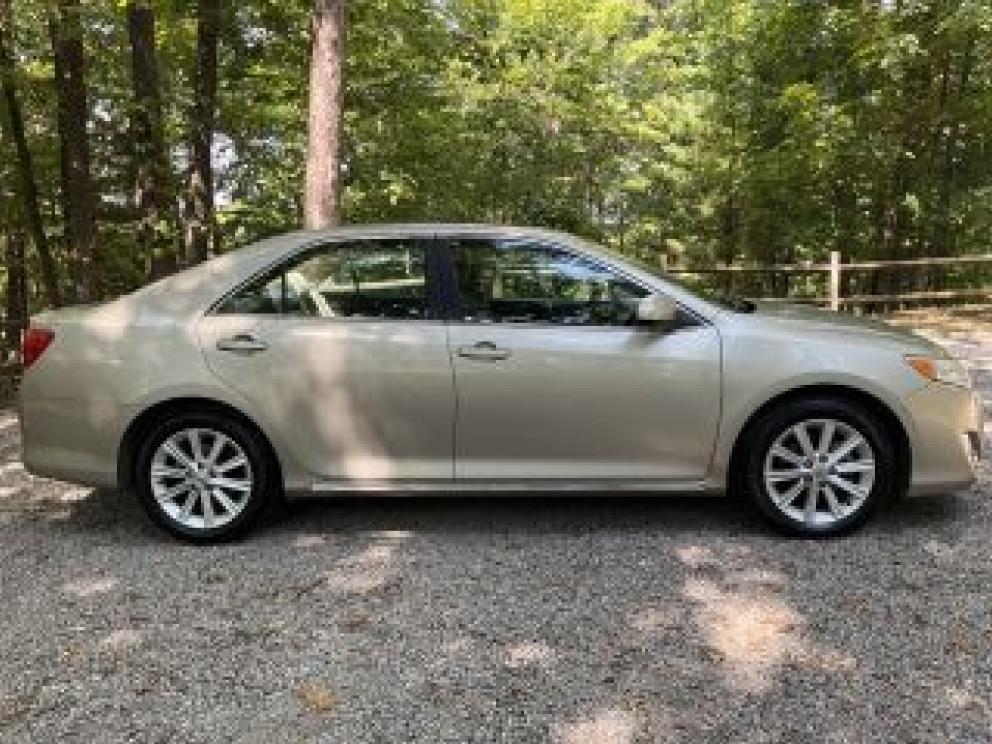 Image for Dual Roanoke Collections