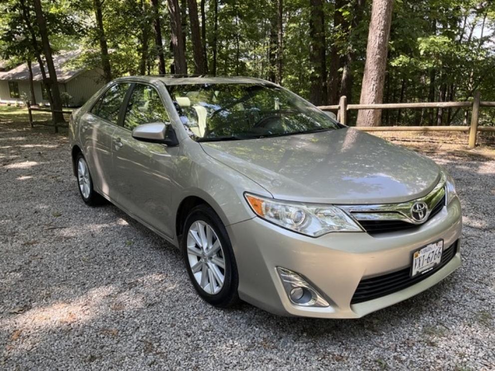 Image for Dual Roanoke Collections