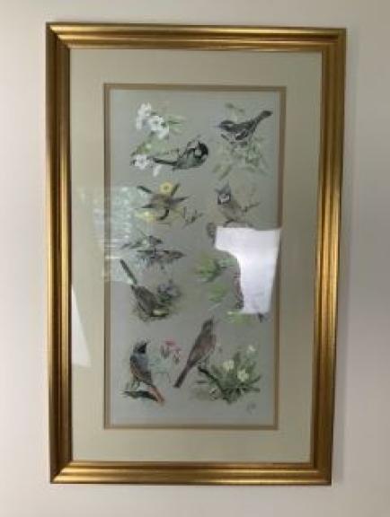 Image for Dual Roanoke Collections