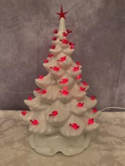 Image for Dual Roanoke Collections