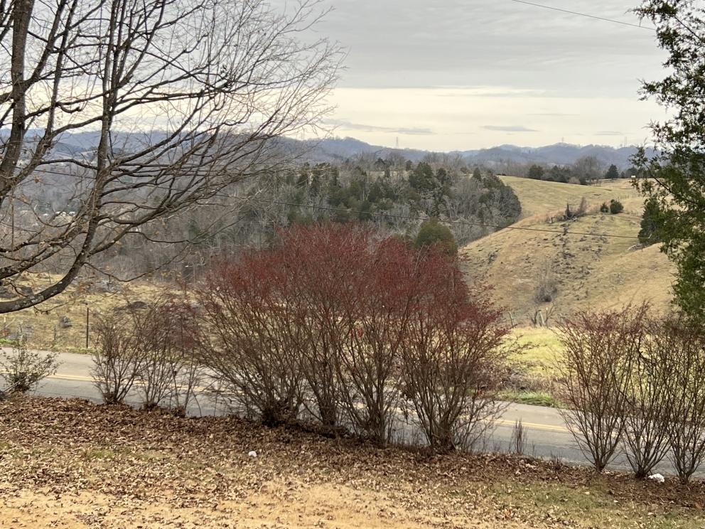 Photo dec 05 2022, 3 53 02 pm