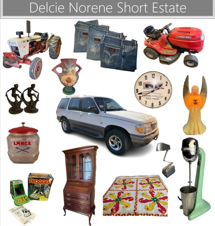 Image for The Delcie Norene Short Estate