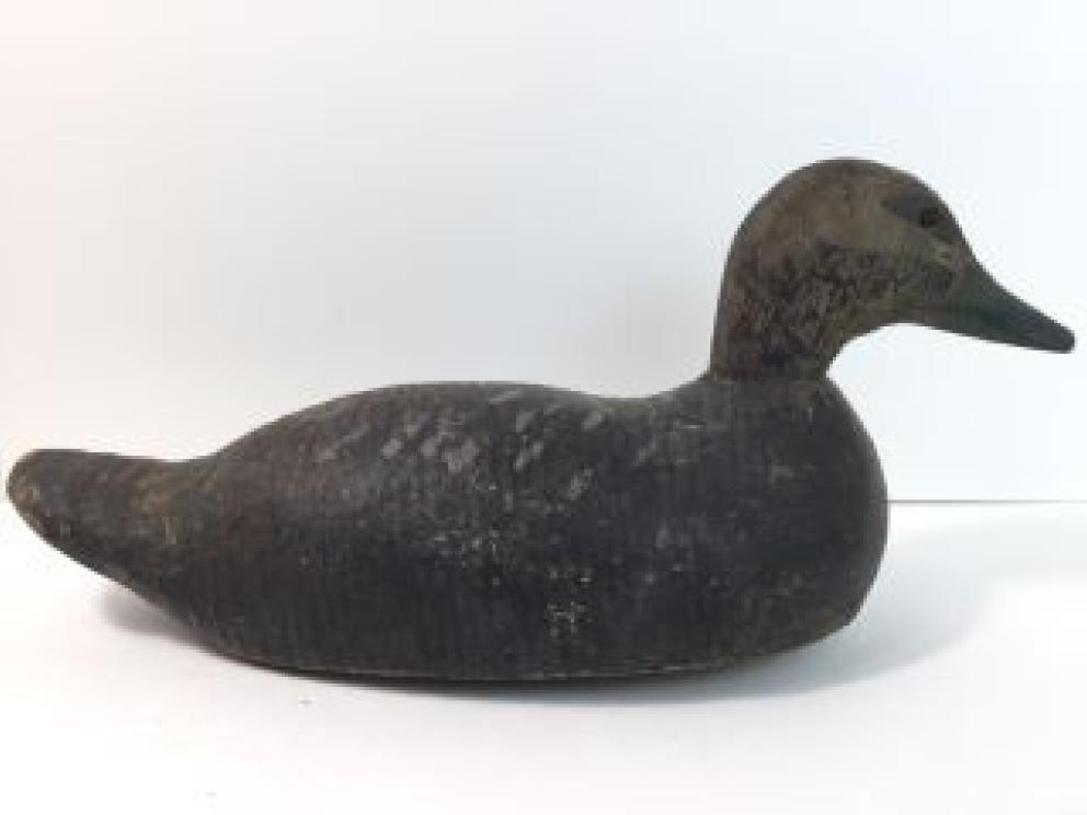 Image for Carney Family Lifetime Collection