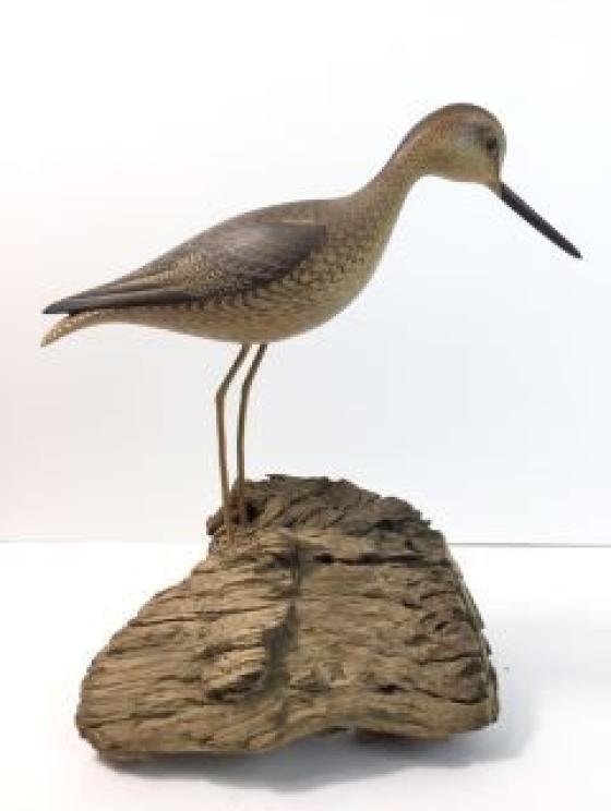 Image for Carney Family Lifetime Collection