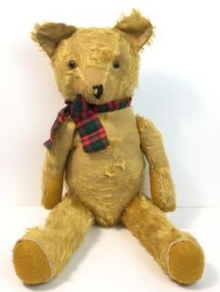 Image for Carney Family Lifetime Collection