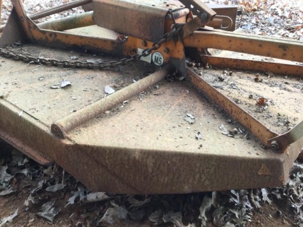 Image for Hayes Collection of Bedford, VA