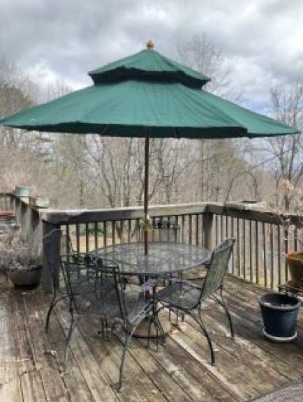 Image for Ingram Family Collection of Radford, VA - Part I