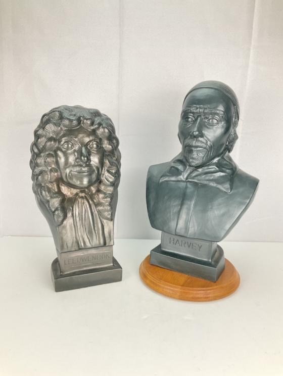 Image for Museum Quality Medical Collectibles