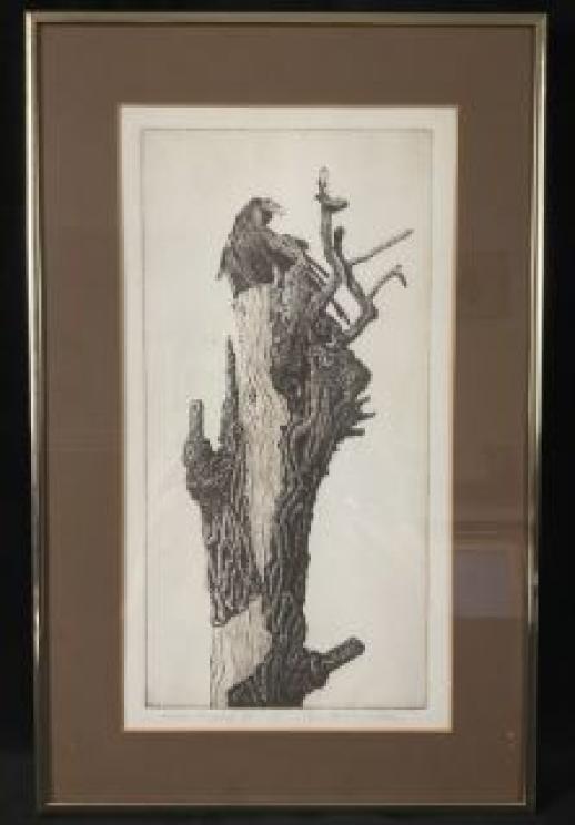 Image for The Morris Estate of Fincastle, VA