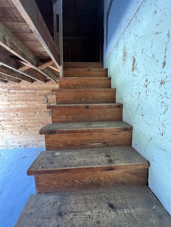 Photo sep 04 2023, 2 58 31 pm