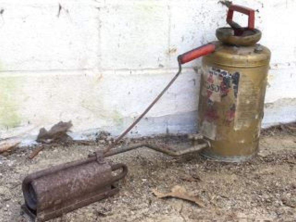 Image for The Estate of Lola Catherine Level