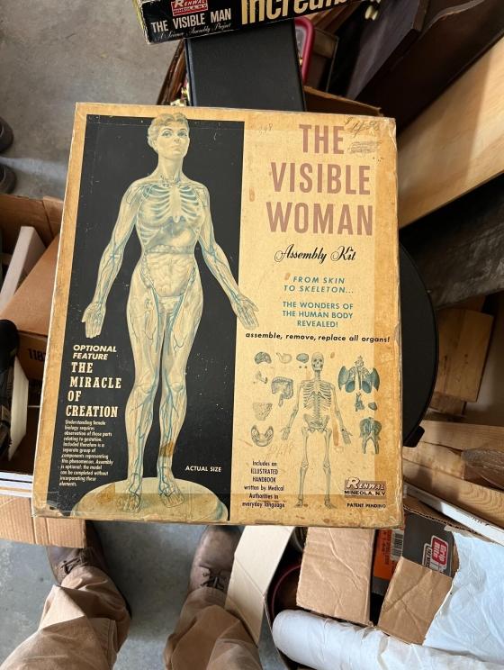 Photo jun 18 2024, 11 36 48 am