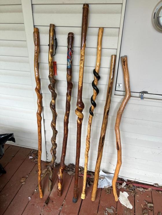 Photo jun 18 2024, 11 49 06 am