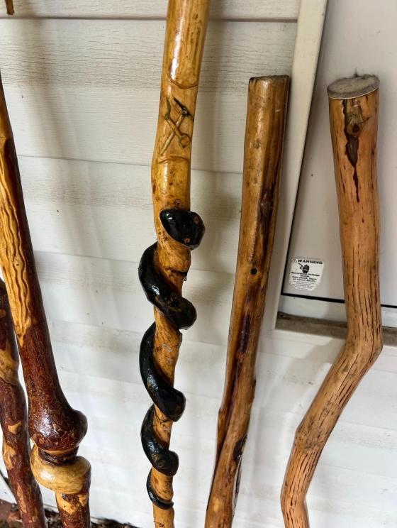 Photo jun 18 2024, 11 49 15 am