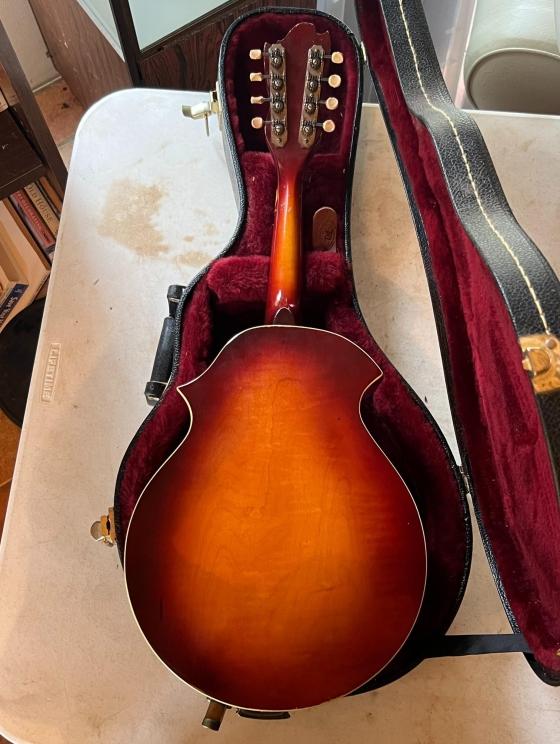 Photo jun 18 2024, 11 54 25 am