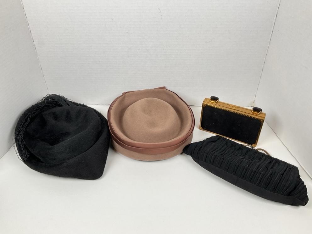 Image for Living Collection of the Williams Family