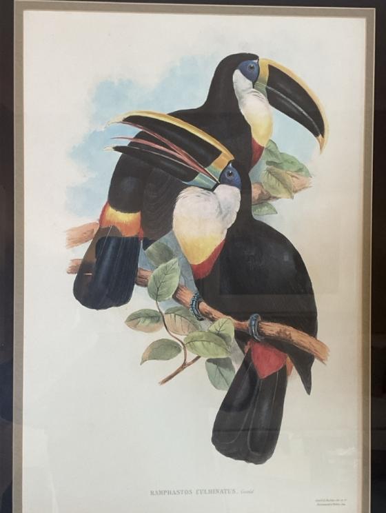 Image for Urgent Short Notice! Remarkable Roanoke Collection