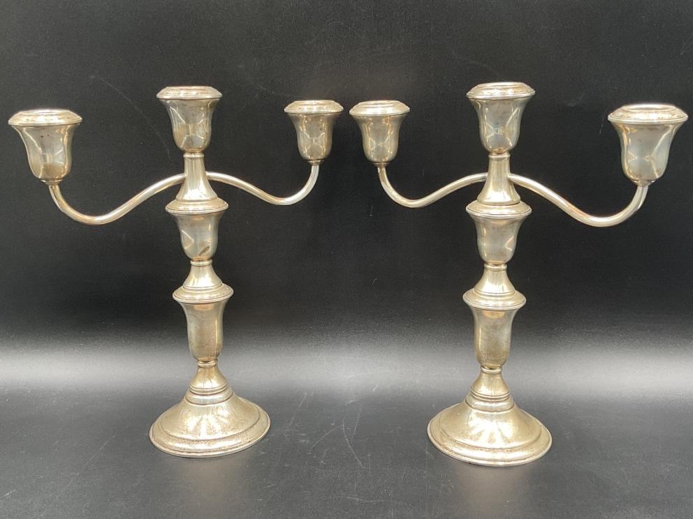 Image for Remarkable Roanoke Estate