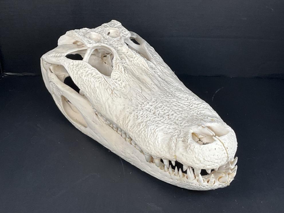 Image for Riveting Roanoke Collection