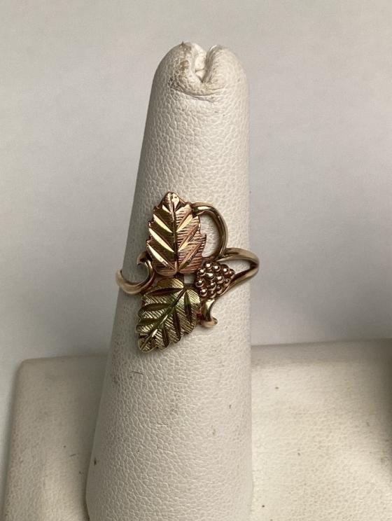 Image for Hidden Gems in Beckley