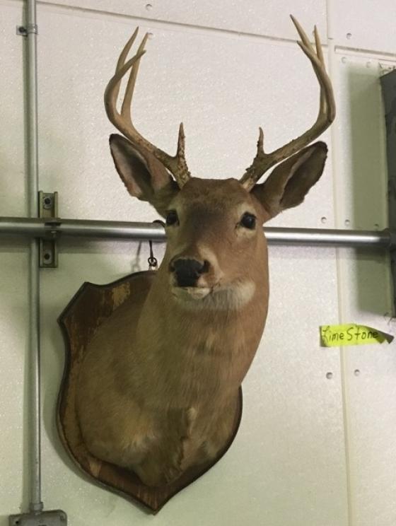 Image for Industrial, Gun, Coin, & Antique Auction (Online Only)