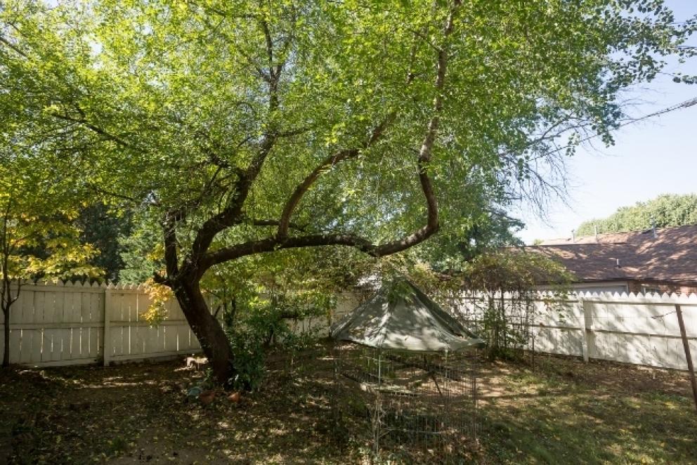 Image for Avenham Avenue Real Estate Auction