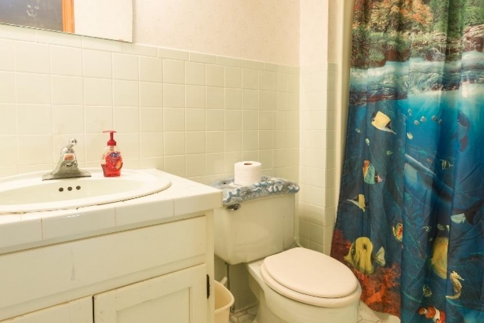 Image for WELL MAINTAINED BRICK HOME-FINCASTLE,VA