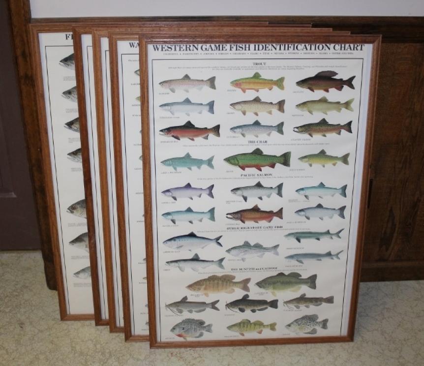 Image for Lifetime Collection of Dave and Kay Wilson