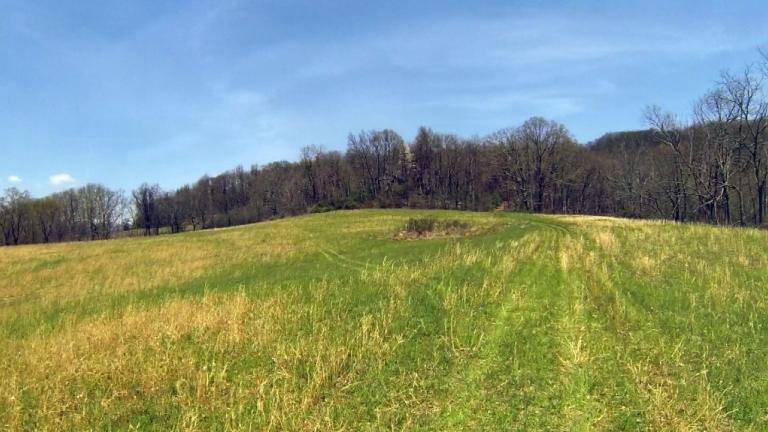 Image for 536 Acres in West Virginia- SEALED BIDDING