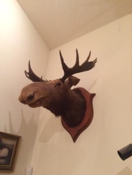 Image for The Incredible Keene Downsizing Auction