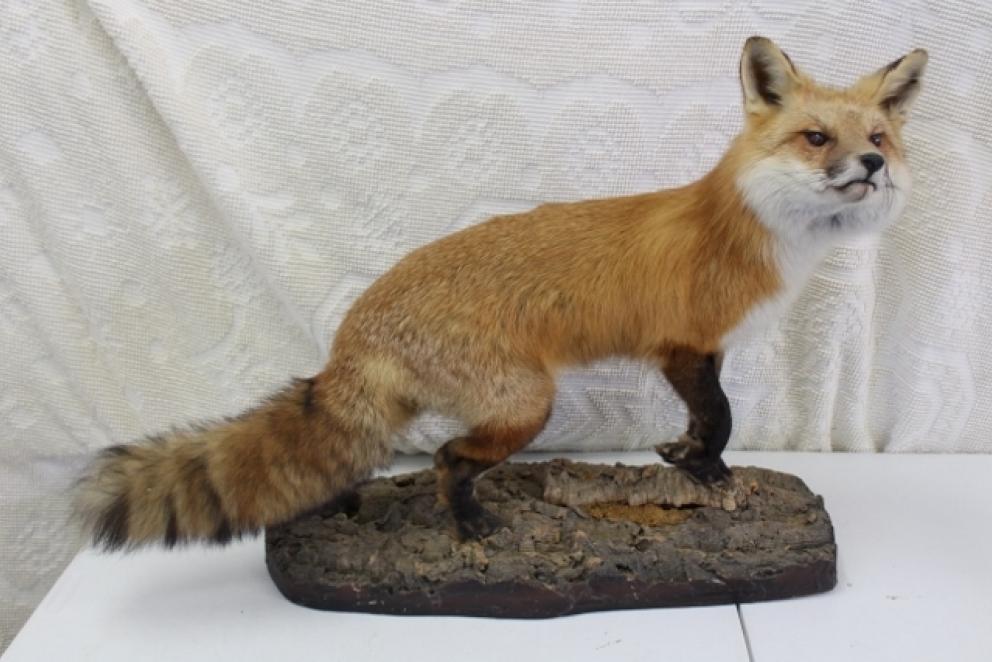 Image for AMAZING Collection of Terry Synan-Part TWO