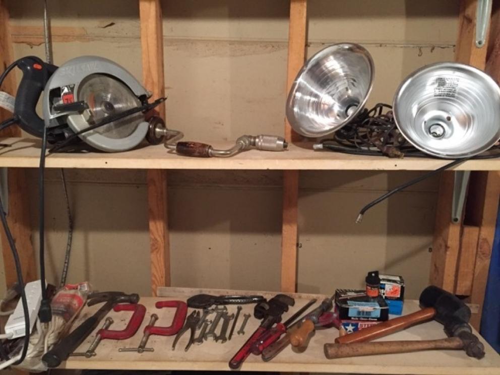 Image for The Collection of Mrs. Betty Swan