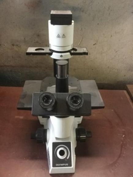 Image for University Surplus Auction